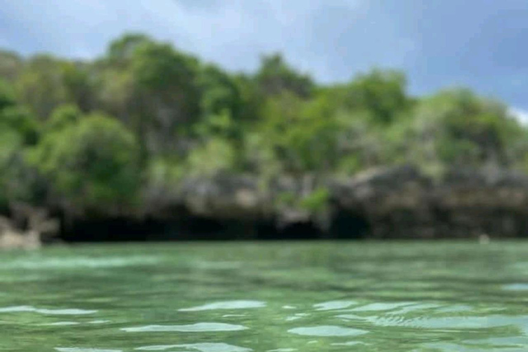 Zanzibar: Safari Blue with Snorkeling and lunch