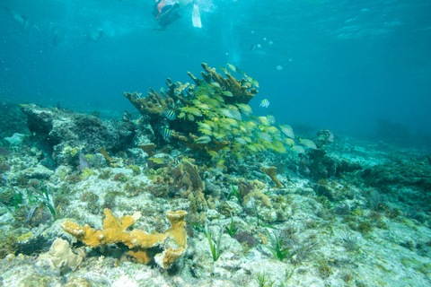 Isla Mujeres: Full Day Private Catamaran with Snorkeling