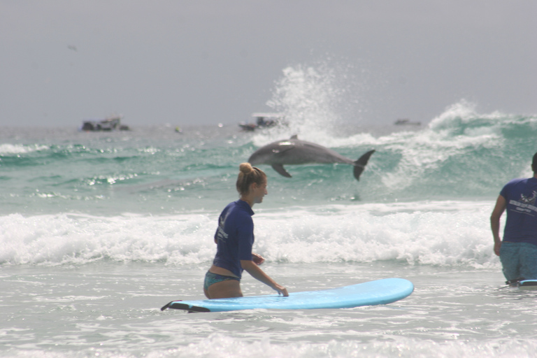 Gold Coast: Learn to Surf Experience with Lunch & Activities