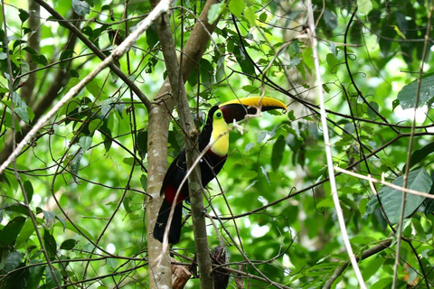 Uvita: Hiking in Corcovado National Park