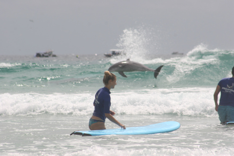 Gold Coast: 2 timmars privat surflektion med fotopaket