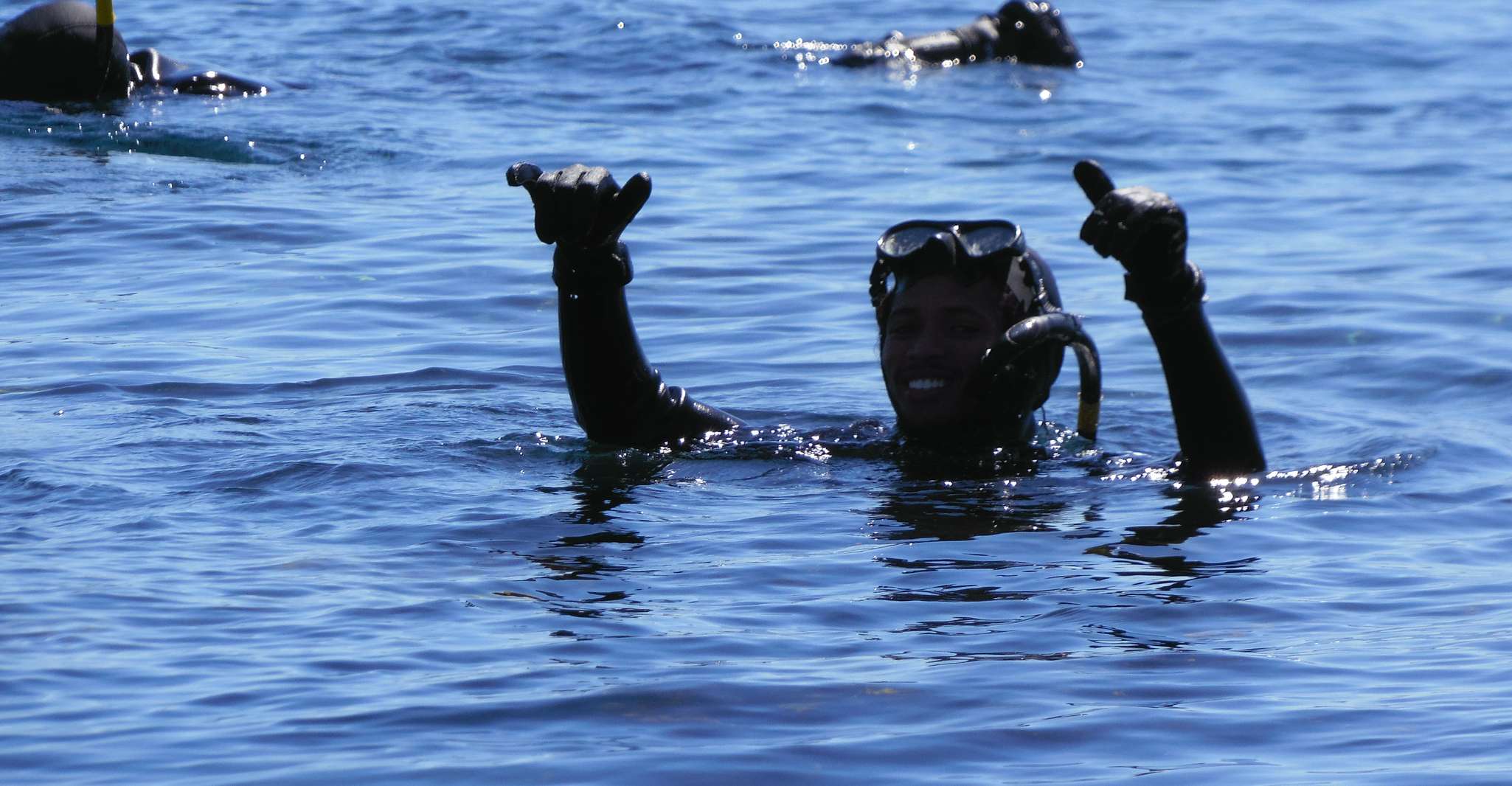 Hout Bay, experiencia de snorkeling de focas - Hizvo