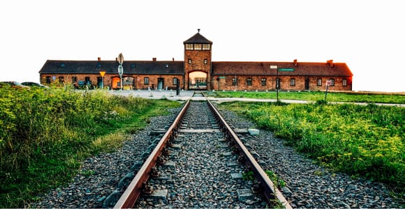 From Krakow: Auschwitz-Birkenau & Schindler's Factory Tour