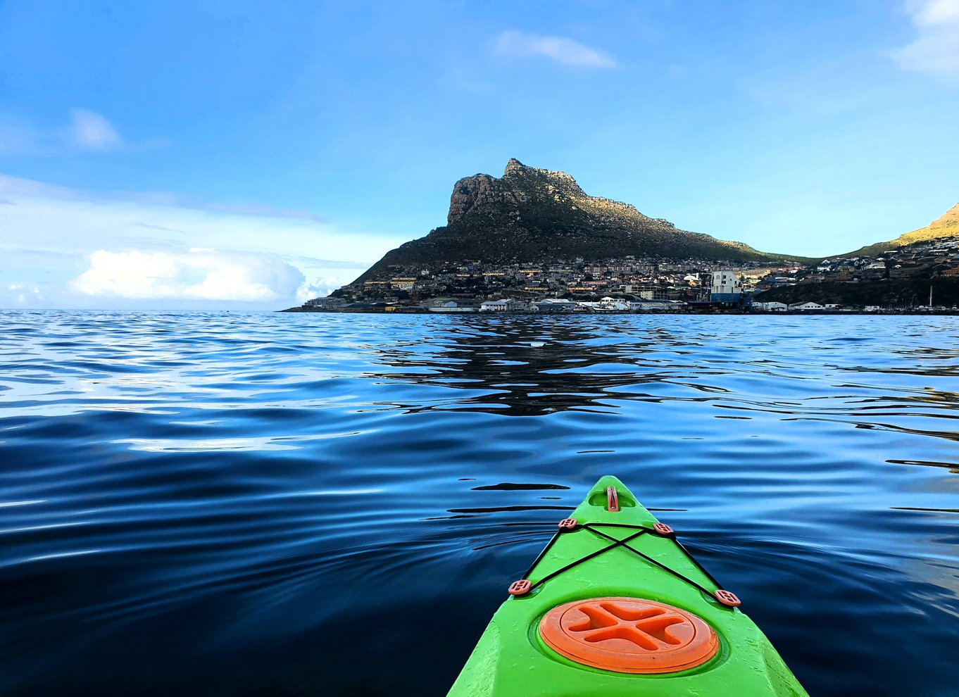 Cape Town: Guidet kajaksejlads i Hout Bay