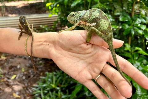 Zanzibar: Jozani forest and Butterfly day tour TOUR WITH TRANSFER (HOTEL PICK-UP AND DROP-OFF)