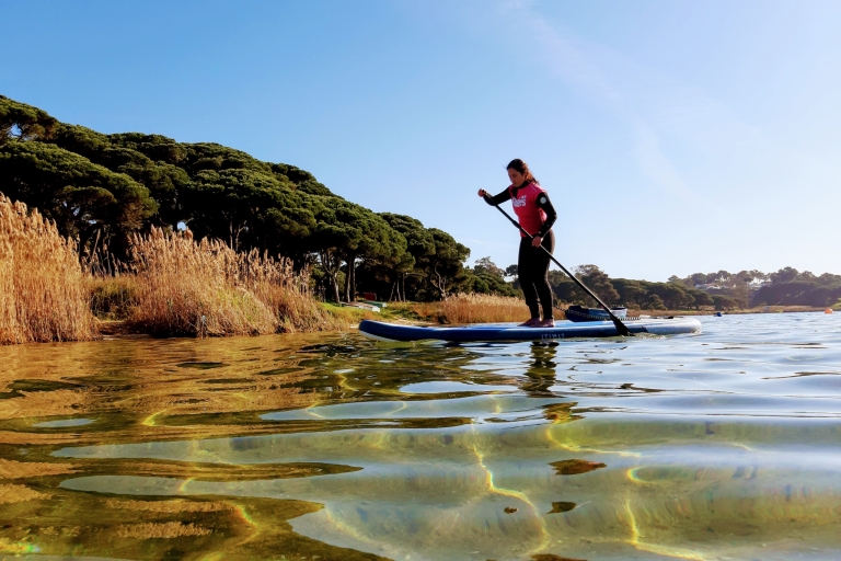 Lisboa: Stand Up Paddle Adventure en la laguna de AlbufeiraTour privado