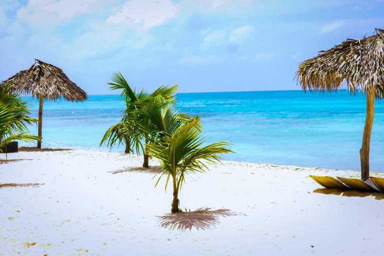 Excursión de un día a la Isla Saona + Almuerzo + Barra Libre desde Punta CanaExcursión Saona con recogida en hoteles y Airbnb en Cap Cana