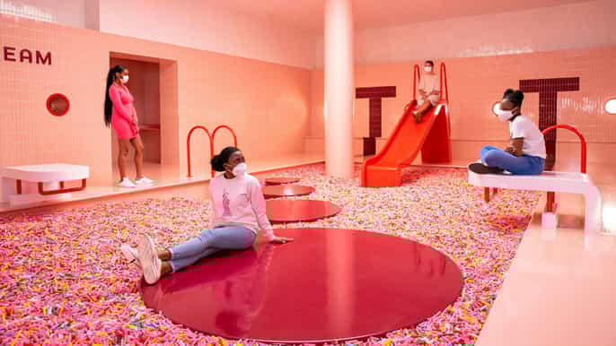 new york biglietto dingresso generale per il museo del gelato