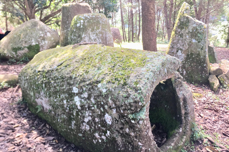 From Vang Vieng: Plain of Jars Day Trip