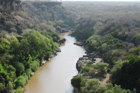 From Addis Ababa: 2-Day Awash National Park Tour with Dinner