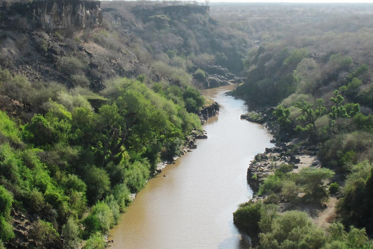 From Addis Ababa: 2-Day Awash National Park Tour with Dinner