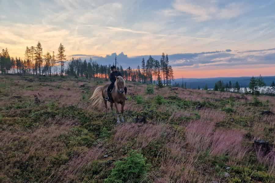 Rovaniemi: Waldausritt mit Transfers. Foto: GetYourGuide Rovaniemi: Waldausritt mit Transfers. Foto: GetYourGuide