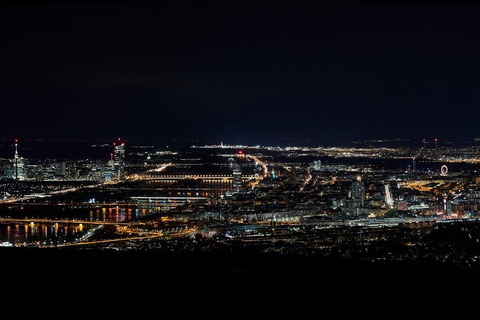 Vienna: Evening Bus Tour, Prater & Kahlenberg Panorama