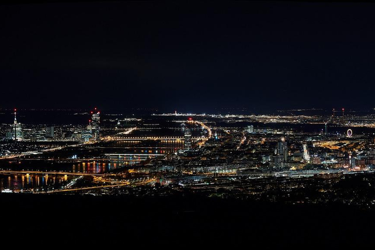 Vienna: Evening Bus Tour, Prater & Kahlenberg Panorama