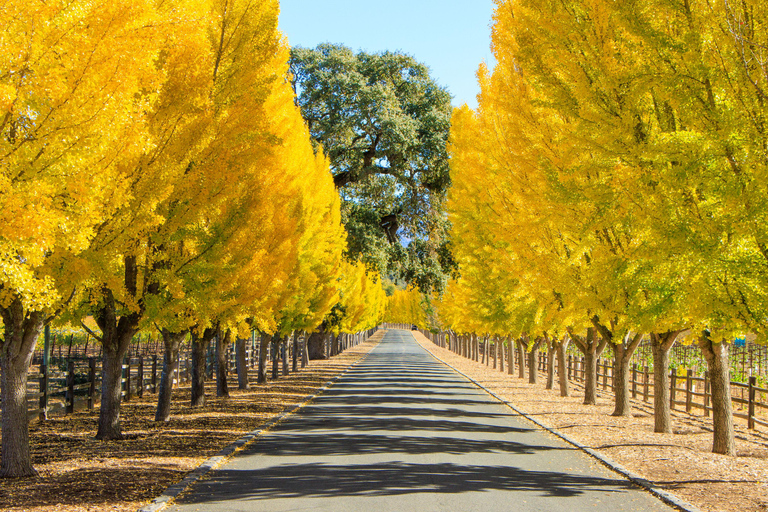 Napa Valley: Driver & Guide Service California wine country