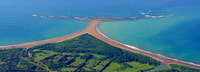 Uvita, Parco nazionale Marino Ballena Escursione guidata a piedi - Hizvo