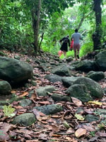 El Yunque National Rainforest, Walk Walk et Beach Trip - Housity