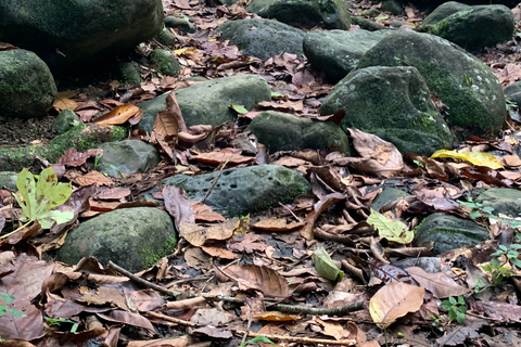 El Yunque National Rainforest: Nature Walk and Beach Trip