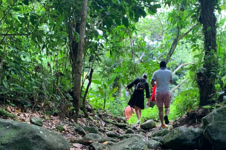 Forêt pluviale nationale d'El Yunque : promenade dans la nature et excursion à la plage