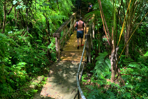 El Yunque National Rainforest: Nature Walk and Beach Trip
