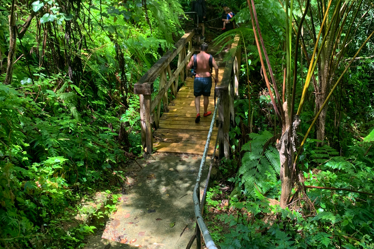 El Yunque National Rainforest: Nature Walk and Beach Trip