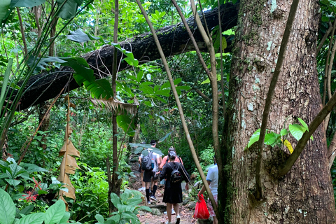 El Yunque National Rainforest: Nature Walk and Beach Trip