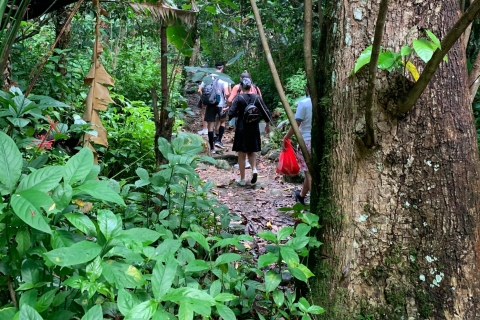 Nationaal regenwoud El Yunque: natuurwandeling en strandtrip