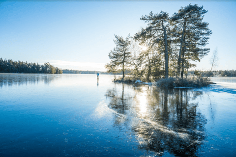 Día completo de patinaje sobre hielo en Estocolmo