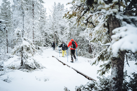 Stockholm: Hel dags vandring med snöskor på naturäventyr