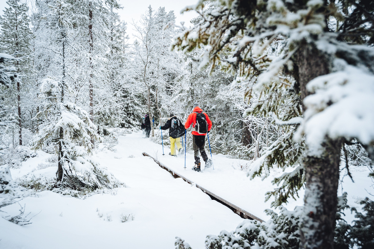 Stockholm: winterwandeling met sneeuwschoenen voor een dag