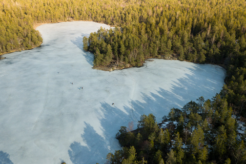 Estocolmo: Excursión de un día con raquetas de nieve en invierno