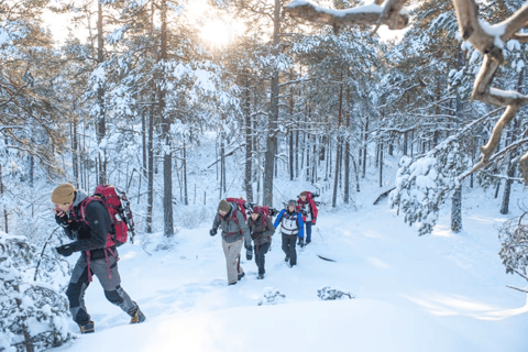 Stockholm: winterwandeling met sneeuwschoenen voor een dag