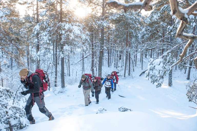 Estocolmo: caminhada de dia inteiro com raquetes de neve no inverno