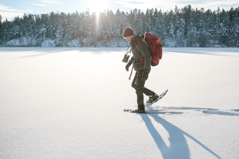 Estocolmo: Excursión de un día con raquetas de nieve en invierno