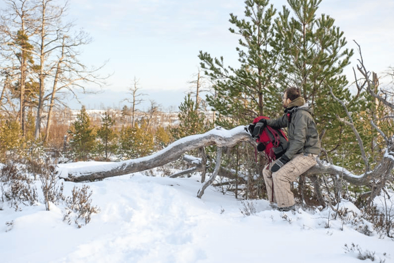 Estocolmo: Excursión de un día con raquetas de nieve en invierno