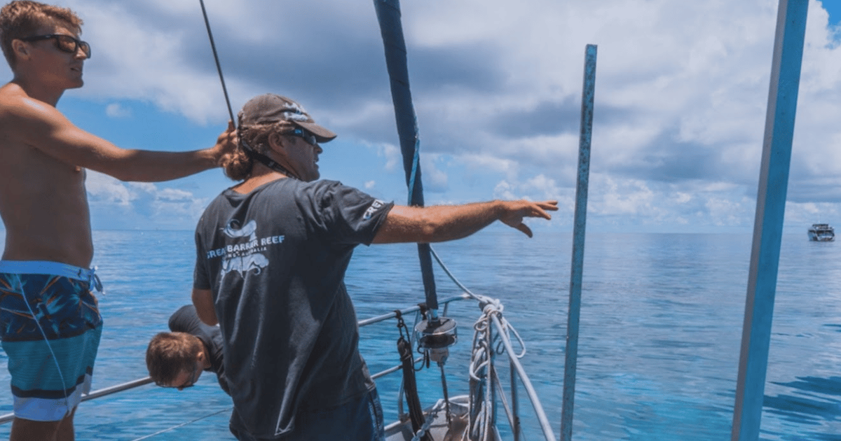 22-day Ultimate Australia East Coast-Cocktails and Kangaroos | GetYourGuide