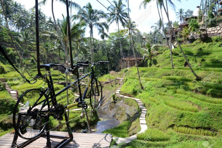 Ubud: Sky Bike und Jungle Swing Erfahrung mit Transfer