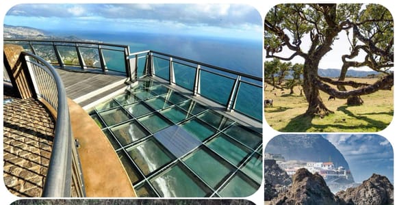 Madeira: West Tour With Guide Fanal Forest SykWalkExperience