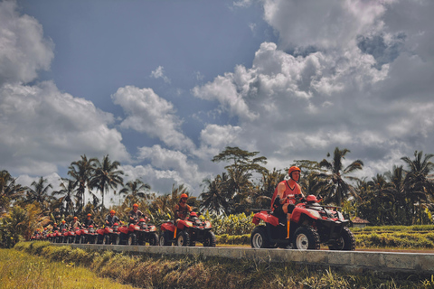 Ubud: Gorilla Face-quad, jungleschommel, waterval en maaltijdTandemrit met Bali Transfers