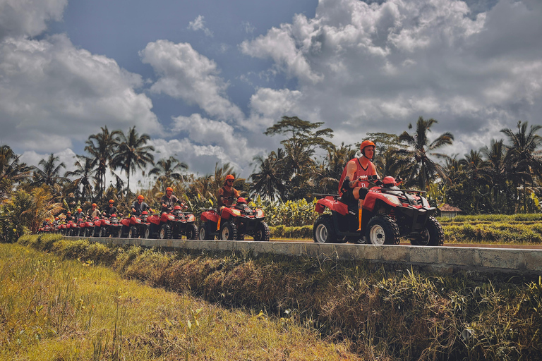 Ubud: Gorilla Face Quad Bike, Jungle Swing, Waterfall &amp; MealSolo Ride with Bali Transfer