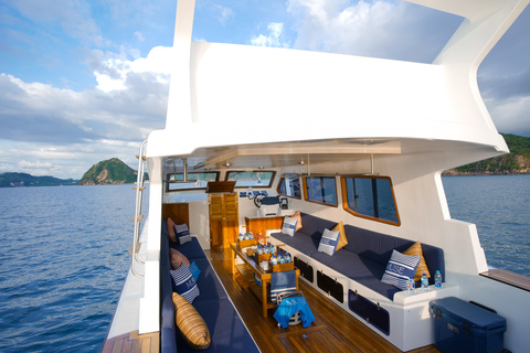 From Labuan Bajo: Komodo National Park Speedboat Day Trip