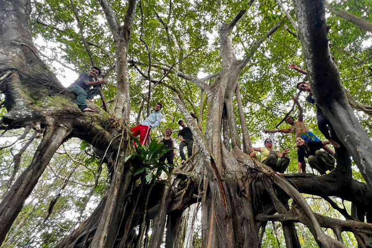 EXPERIÊNCIA COM OS TIKUNAS DA AMAZÔNIASAFÁRI NA AMAZÔNIA