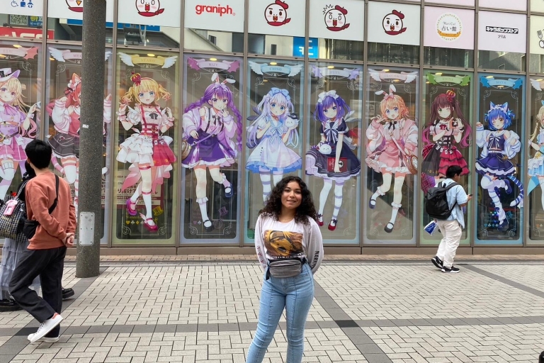 Akihabara Private Anime& Gaming Food Tour