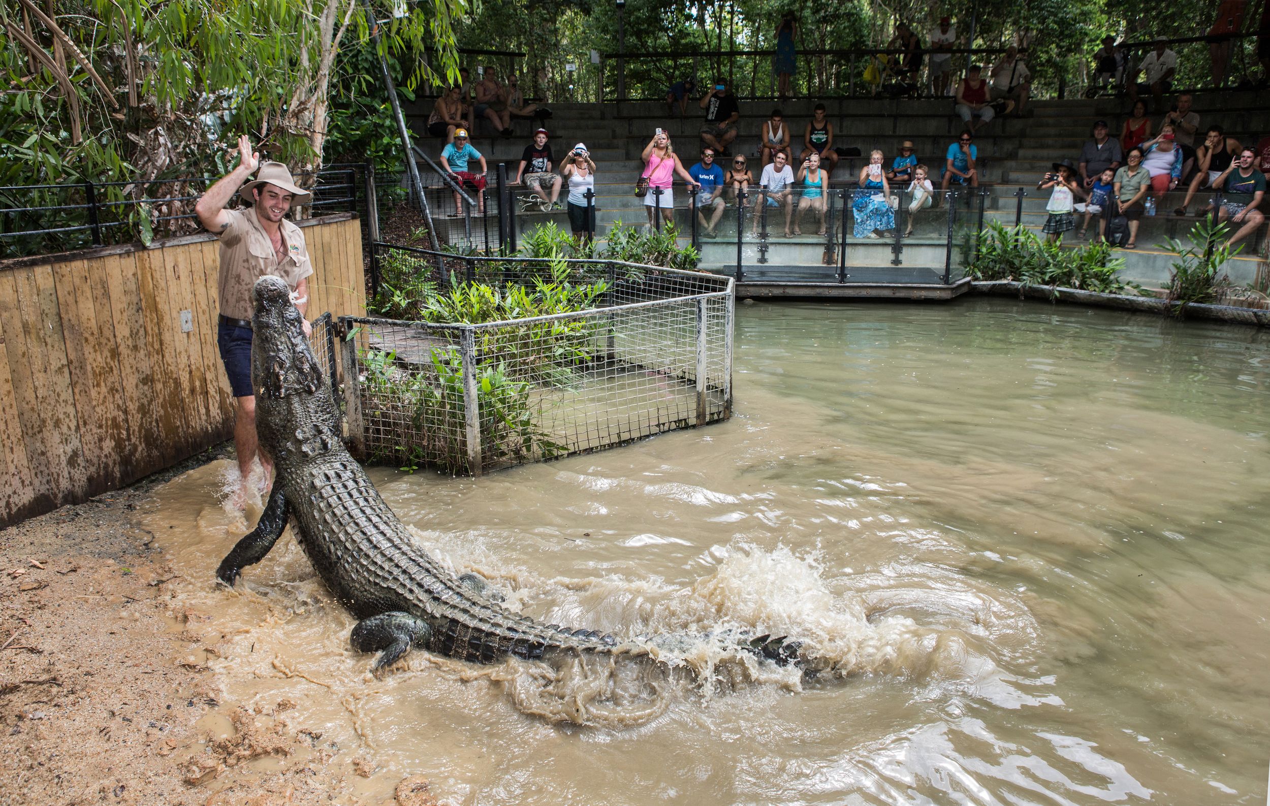Hartley's Crocodile Adventures Park Entry