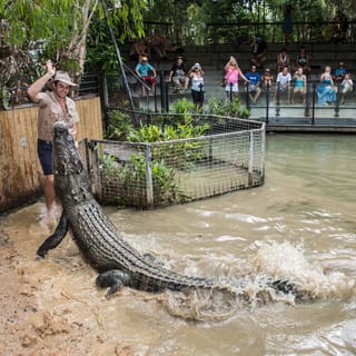 Hartley's Crocodile Adventures: Entrance Ticket
