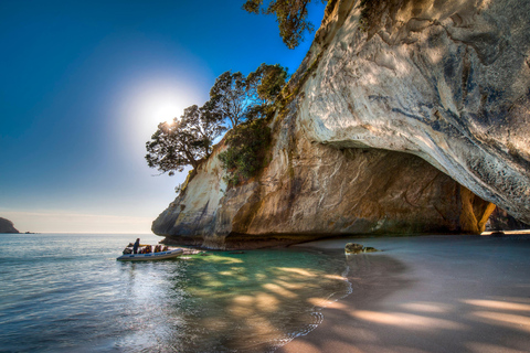 Från Auckland: Cathedral Cove &amp; Hot Water Beach Tour