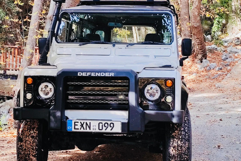 From Paphos: Troodos 4x4 Safari with Picnic & Winery visit