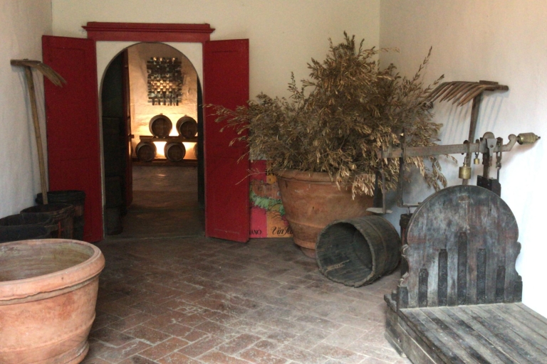 Ab Florenz: Halbtägige Wein- und Gourmet-Tour in Carmignano