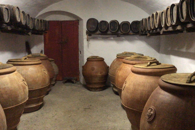 De Florence: visite d'une demi-journée de vins et de mets à Carmignano