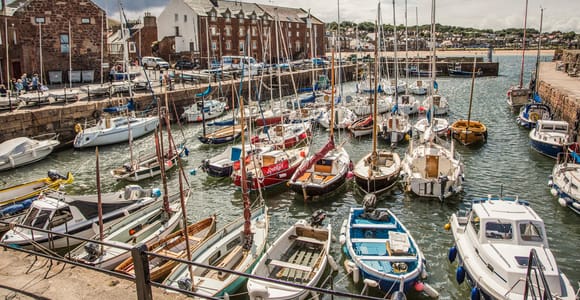 Edinburgh: East Lothian Coastal Tour with Castle Visit